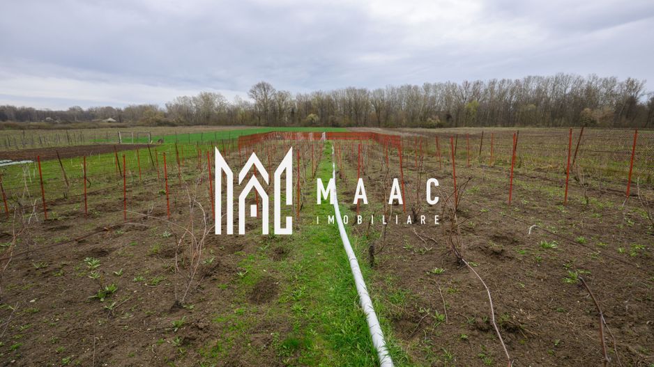 CASA DE VANZARE|  2087 MP TEREN| COMUNA FARTATESTI| - Poză 12