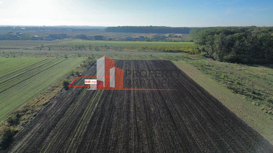 Teren Intravilan Cosoba - Poză 3