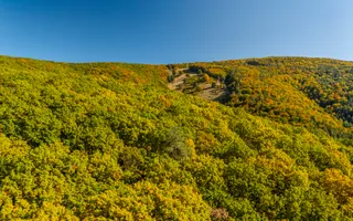 Casă 4 camere, garaj, foișor, grajd, 6000mp teren lângă padure - Poză 23