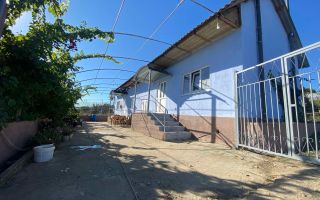Proprietate cu casă, teren, sere și sistem de irigare – 15 min de Orhei - Poză 8