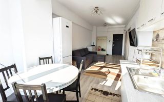 AP 2 CAM NOU TUDOR OANCEA TATARASI - Poză 5