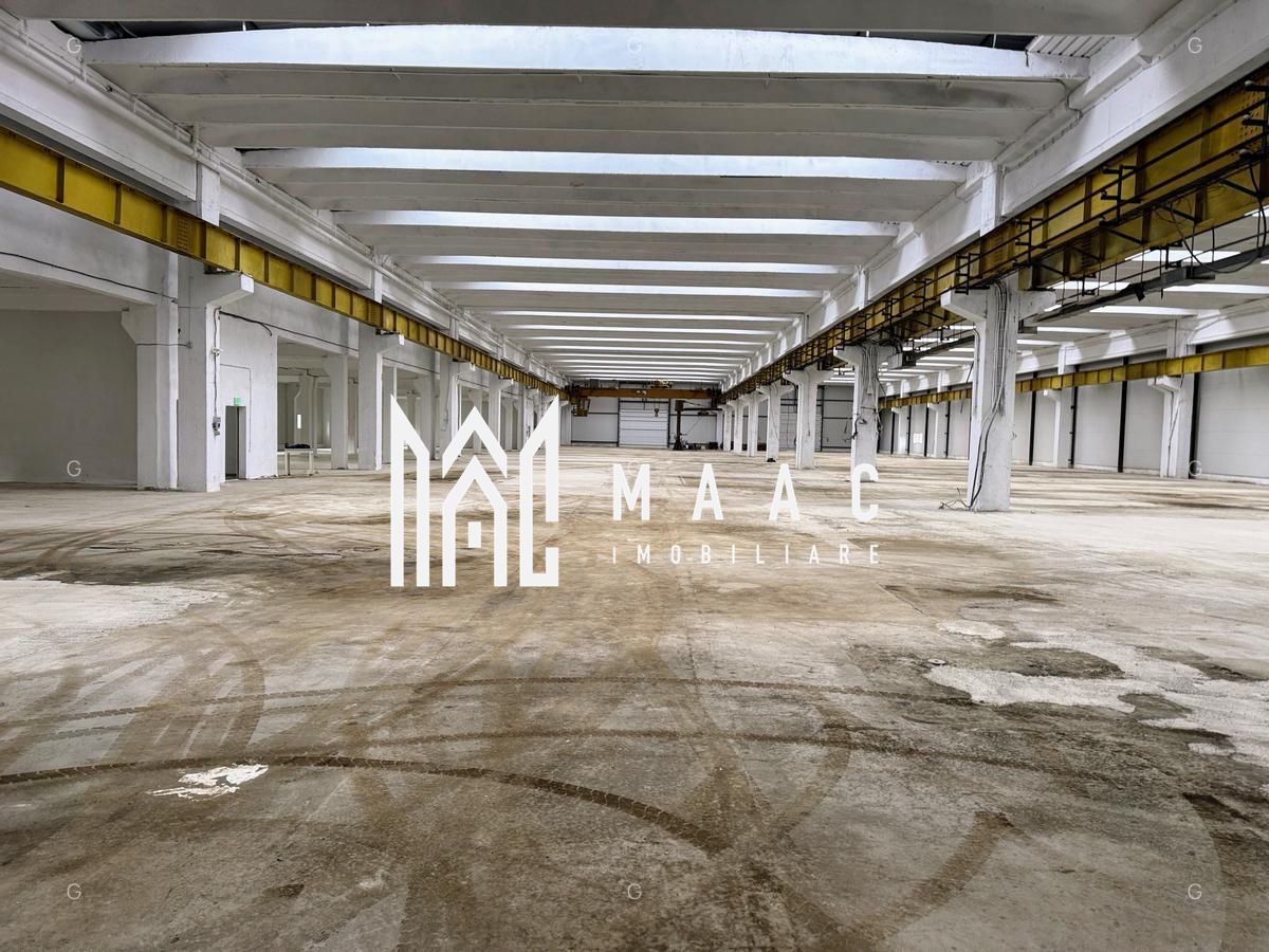 Hala producție I 6857 mp I Acces TIR I Pod Rulant I Mârșa - Poză 3