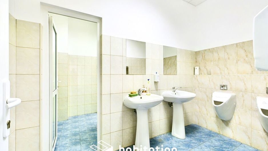 Clădire de birouri de închiriat în Dumbrăvița - Poză 18