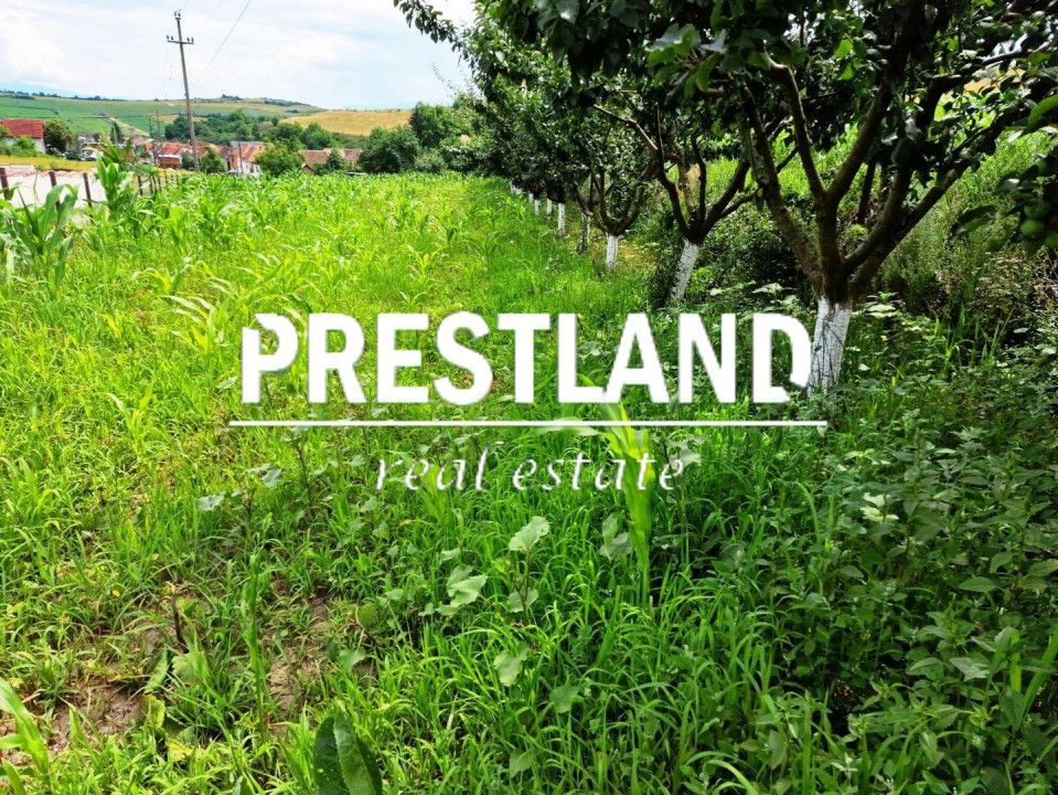 Teren intravilan construcții in Șura Mare. - Poză 2