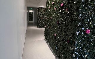 Sala fitness lux - Poză 6