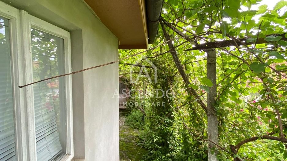 Domeniu 15.900 mp în Fințești | Casă + Investiție Dealu Mare - Poză 5