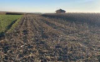 Teren Frătăuții Vechi | 14 Ari | 25.000 EUR - Poză 1