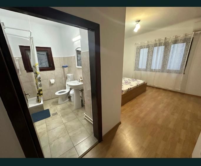 Apartament în vilă Principatele Unite / Unirii - Poză 1