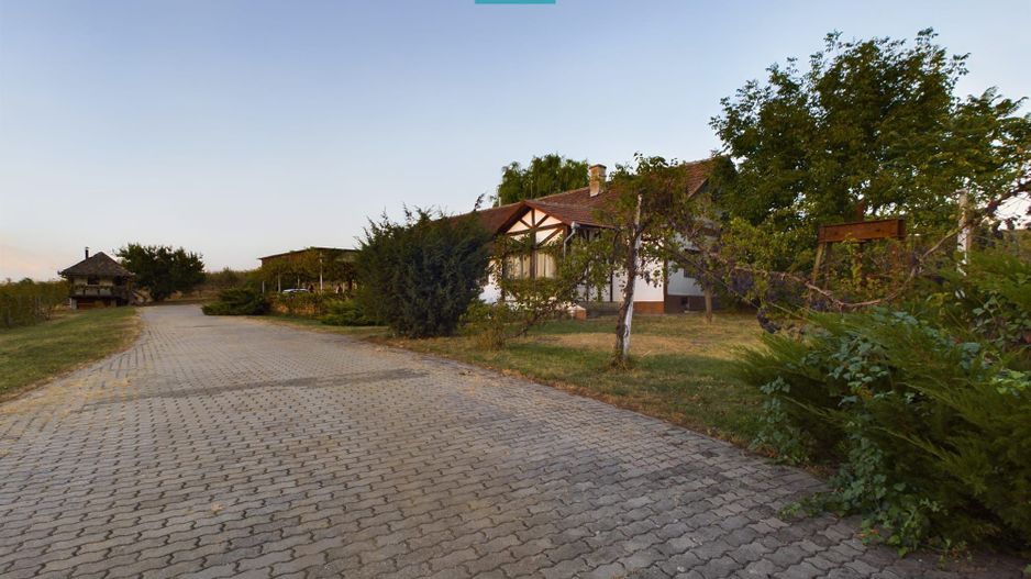 Spațiu comercial - Crama Pivnițele Birăuaș - Poză 32