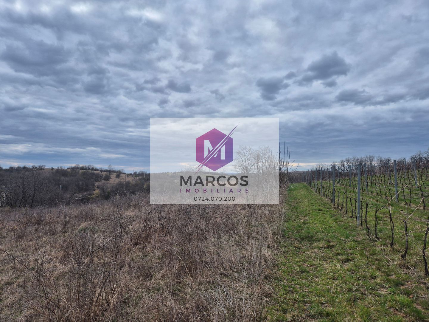 Vand 2 parcele de 5700 mp zona Iabalcea - Poză 10
