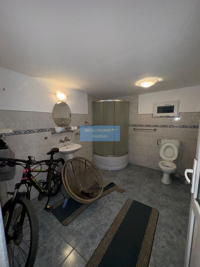 Proprietate industrială de vânzare sau închiriere – Comuna Frătești - Poză 5