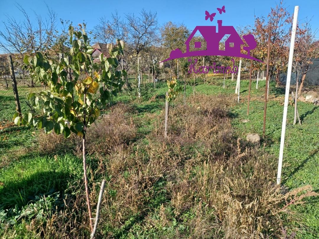 Casa la curte comuna in localitatea Nojorid - Poză 5