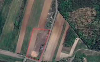 Teren de 11.000 mp cu casă și teren agricol | La 40 km de București | - Poză 14