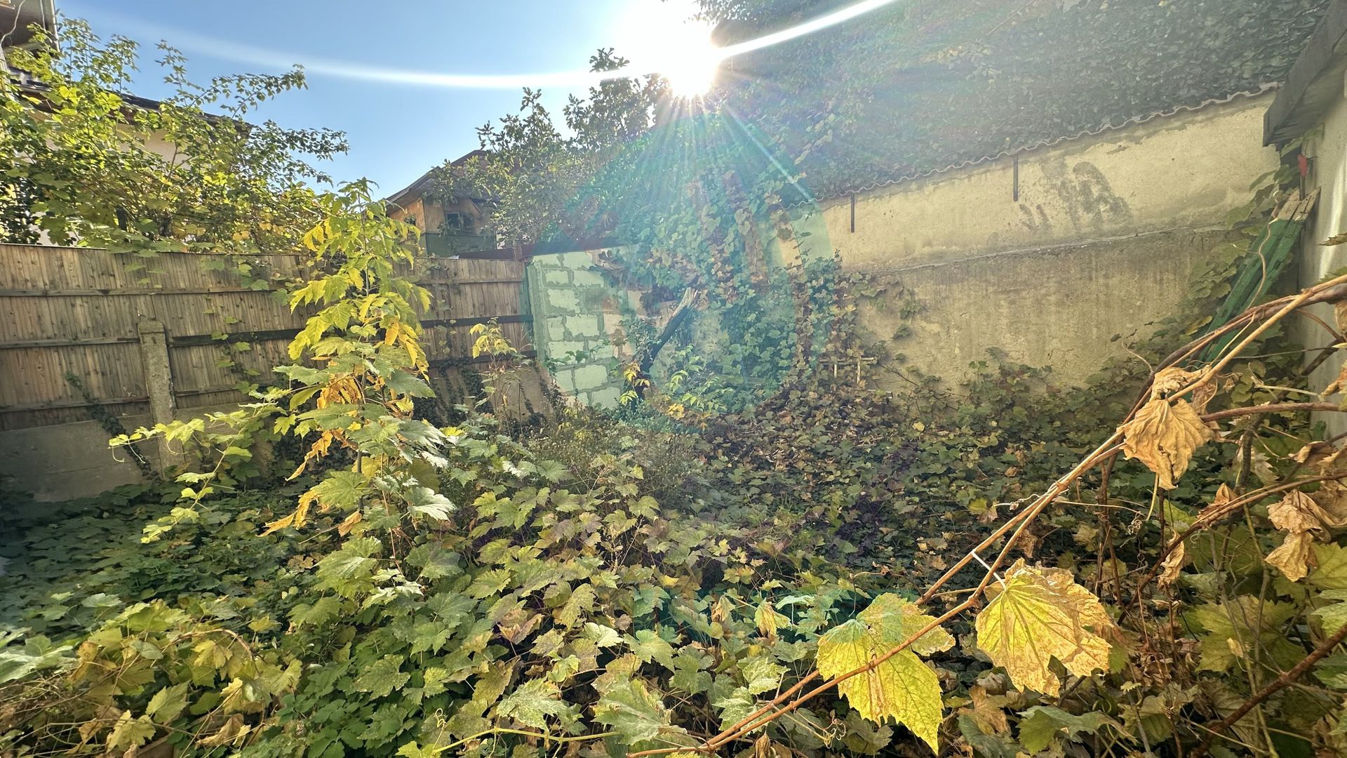 Vila boema in VATRA LUMINOASA - Poză 15