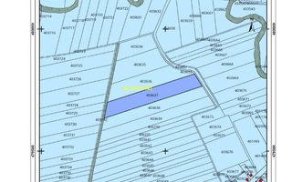 Bucovăț | 22.700 mp | 2 Fronturi | Zonă în Dezvoltare | Comision 0% - Poză 3