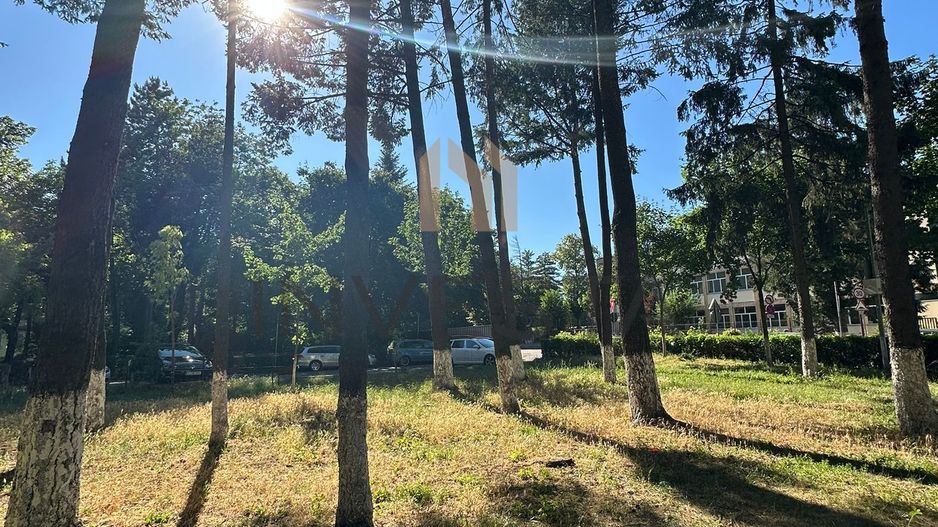 Apartament 2 camere la etajul I, Renovat, zona Iulius Mall - Poză 9