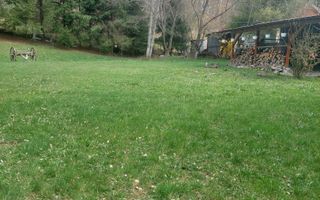 CASĂ DE VACANȚĂ 5 CAMERE,POINANA MĂRULUI, JUD.CARAȘ-SEVERIN - Poză 5