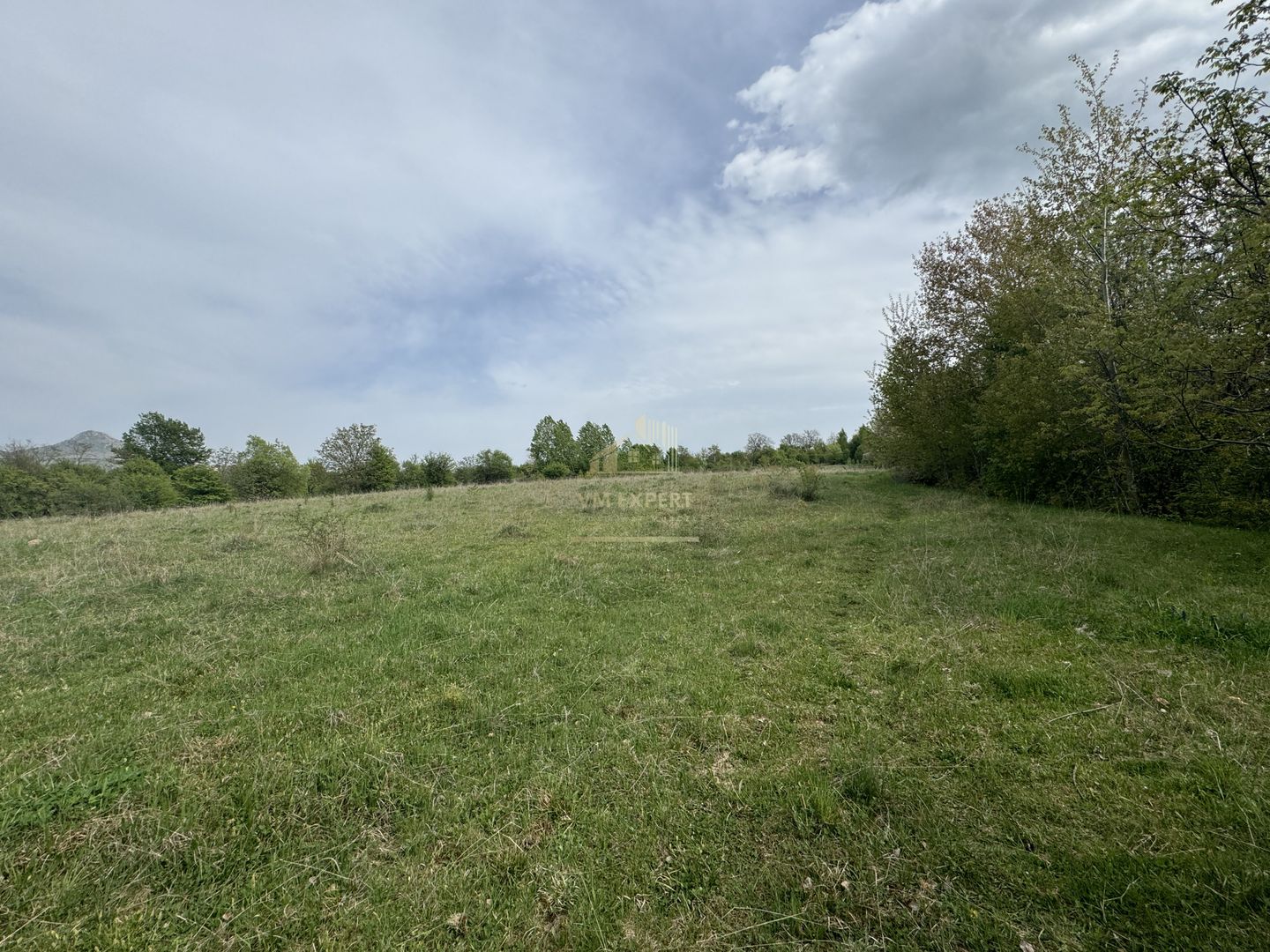 TEREN INTRAVILAN, 7472 MP, VALEA MARE PRAVAT, ARGES - Poză 1