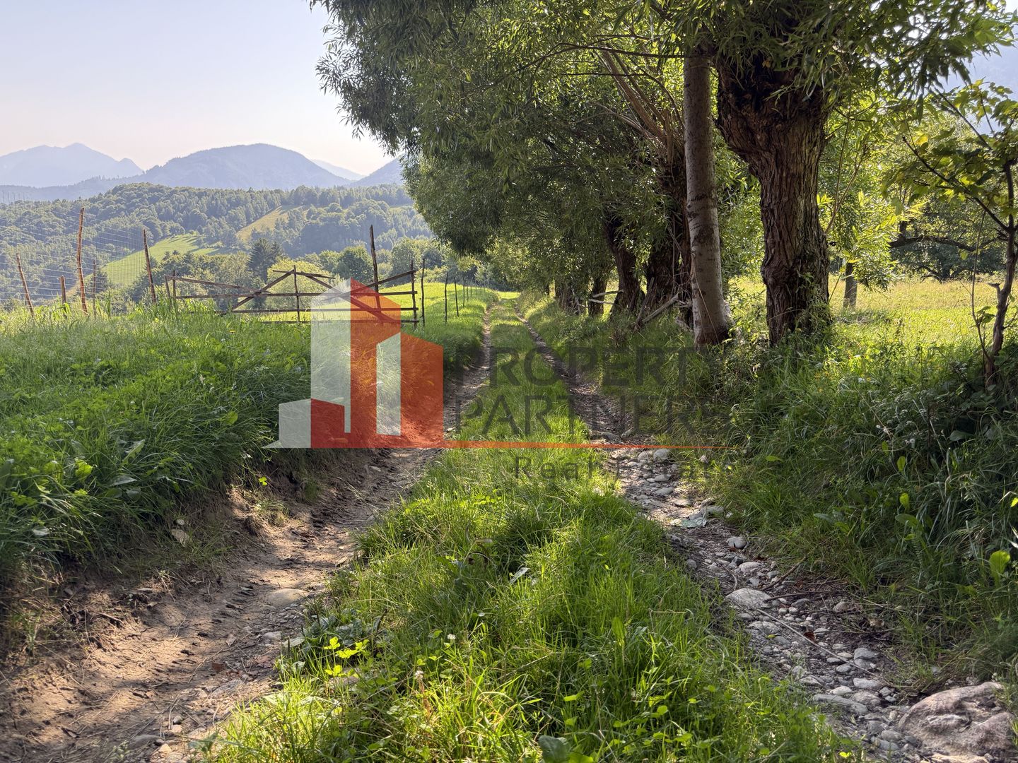 Teren Sohodol 5000 mp - Poză 3