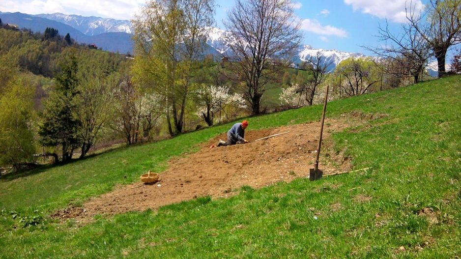 teren intravilan in zona Magura Bran - Poză 25