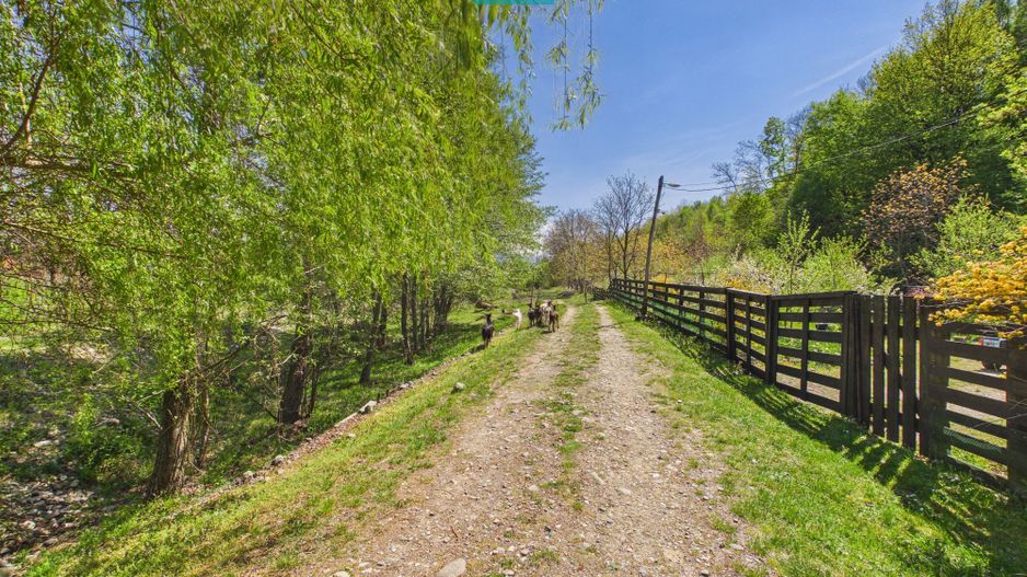 Casă Câmpani, 8000 mp teren, la poalele Apusenilor - Poză 21