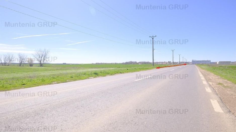 Dascalu, 119.000 mp. teren intravilan cu desch. de 180 m. la DJ 200 - Poză 2