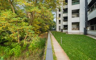 Apartament 4 camerę de vanzare Forest Hill Pipera - Poză 4