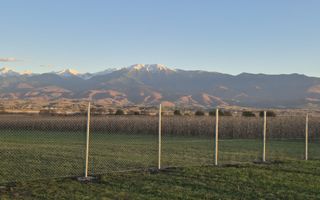 Teren | EXTRAVILAN | 500 MP | Bradu - Poză 2