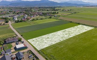 Teren 9.300 mp Stupini | Front 45.59 m la Asfalt | PUG Zonă L1c - Poză 10
