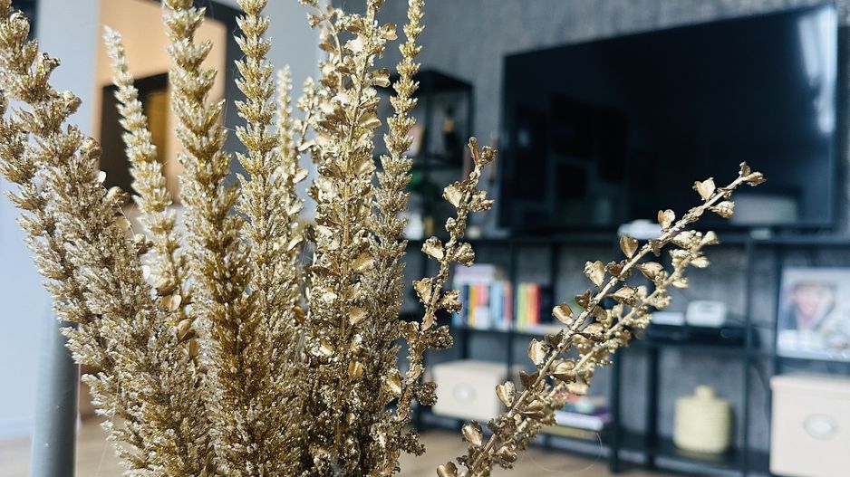 Apartament cu personalitate – 2 camere, 65 mp, tavan înalt 3,40 m | Dumbravita - Poză 7