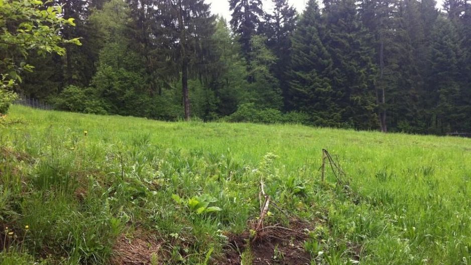 Teren intravilan Cotul Donului,pretabil Hotel/pensiune. - Poză 12