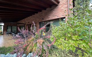 Casa individuala Dumbravita spre Pădure - Poză 26