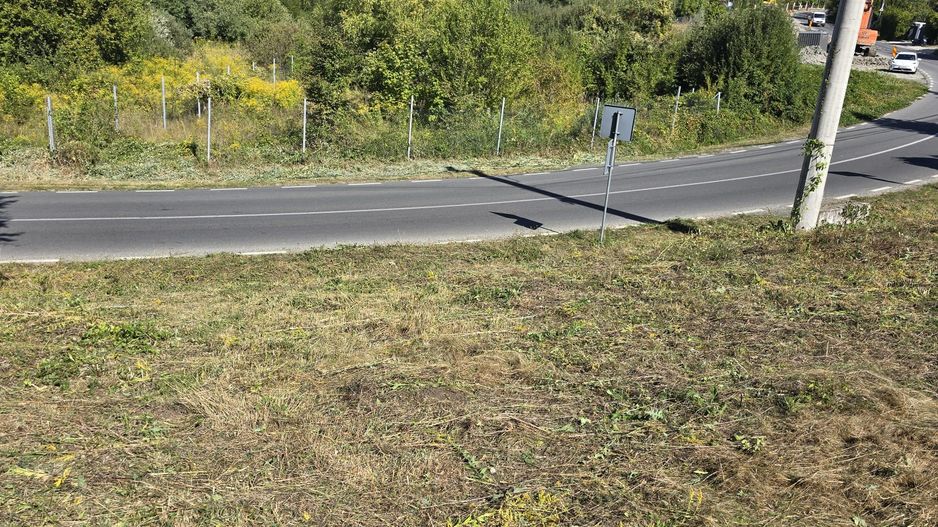 Teren cu PUZ aprobat în Făget, 2072 mp - Poză 3