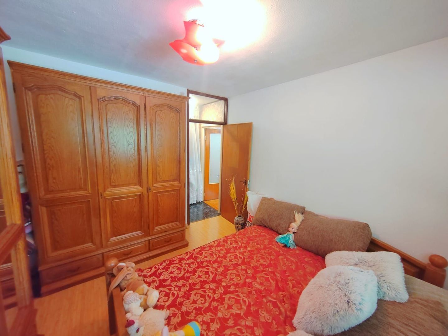 Domenii Ion Mihalache stradal super pret - Poză 12