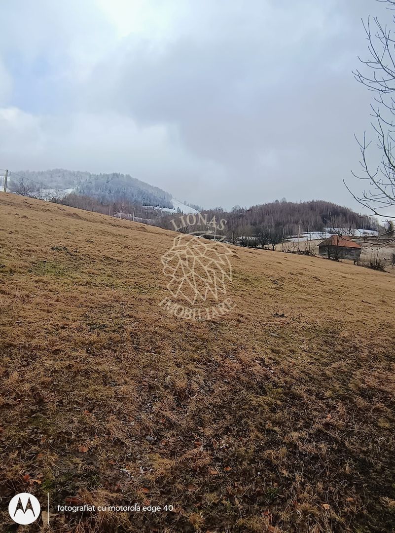 COMISION 0 TEREN TURISTIC EXTRAVILAN APROAPE DE PADURE VISAGU VLADEASA CLUJ - Poză 7