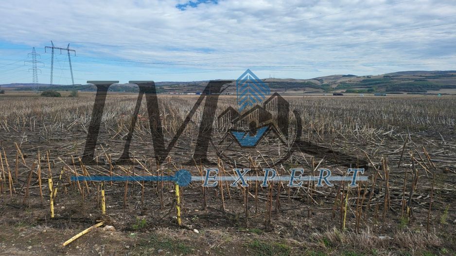 Vand teren in Oarda judetul Alba - Poză 3