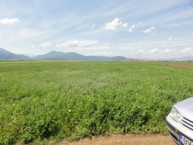 Teren la DN Brașov-Tărlungeni - Poză 10