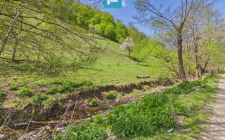 Teren  pentru investiții  în Luncoiu de Jos - Poză 3