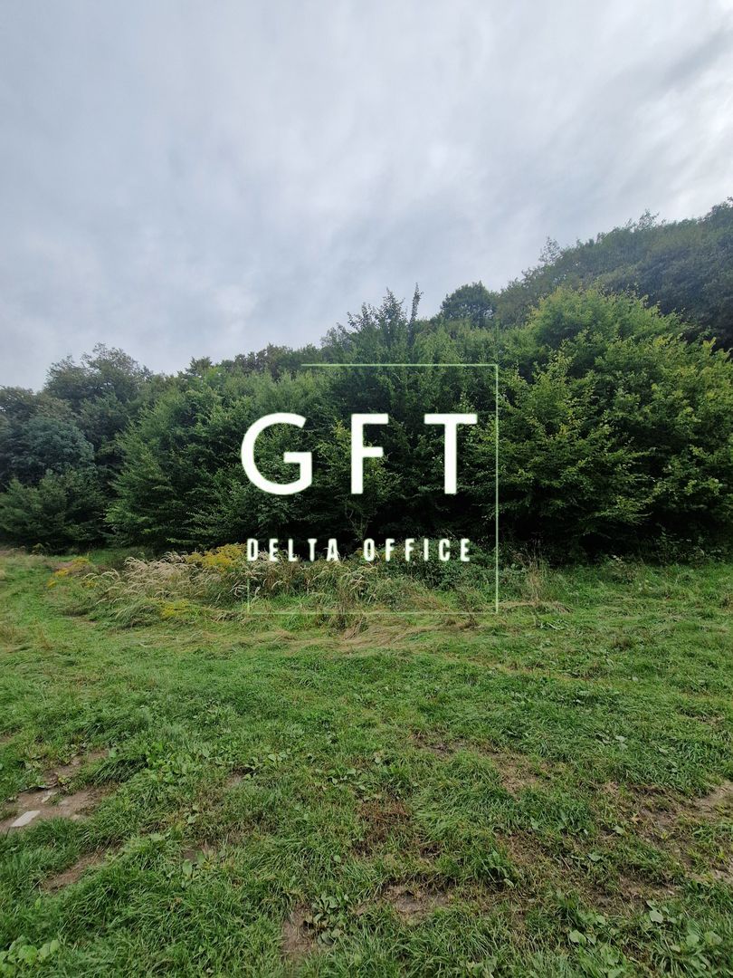 Teren Intravilan de vanzare Bistrita | 795 mp, priveliște panoramică - Poză 7