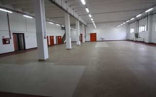 Hala productie    - Calea Torontalului de vanzare - Poză 6