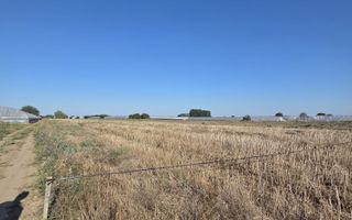 Teren 7 euro mp str asfaltata langa padure Colibasi Campurelu - Poză 6