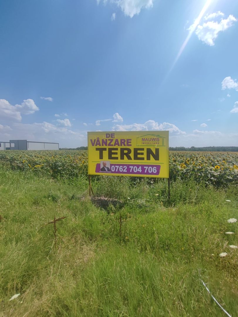 Vand teren intravilan cu destinatie hale - Ganeasa - Sindrilita - Poză 12
