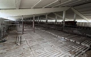 60.000mp Ferma de bovine, păsări, porcine, culturi agricole Diverse - Poză 4