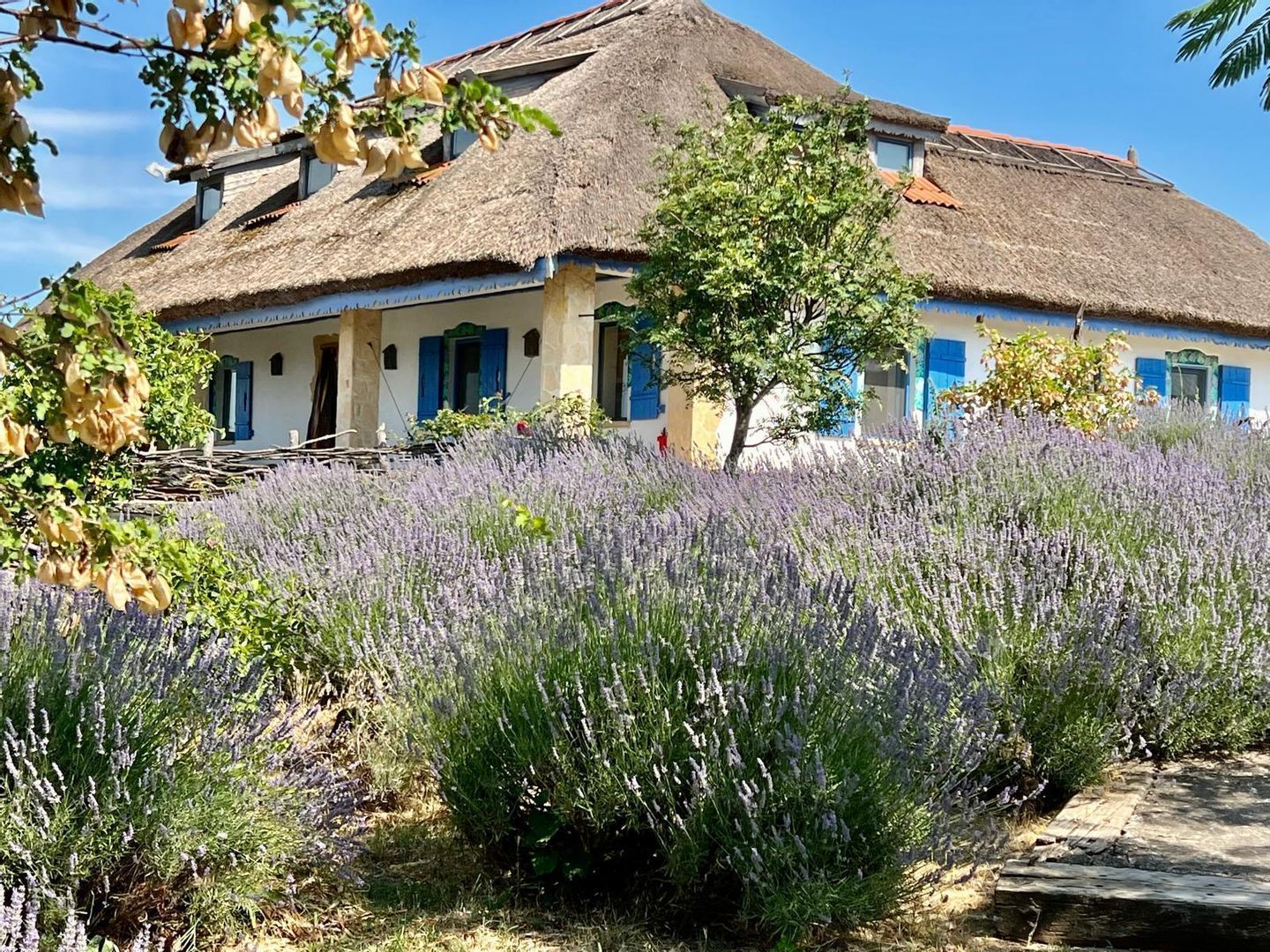 Complex turistic de vanzare in Enisala / Tulcea - Poză 2