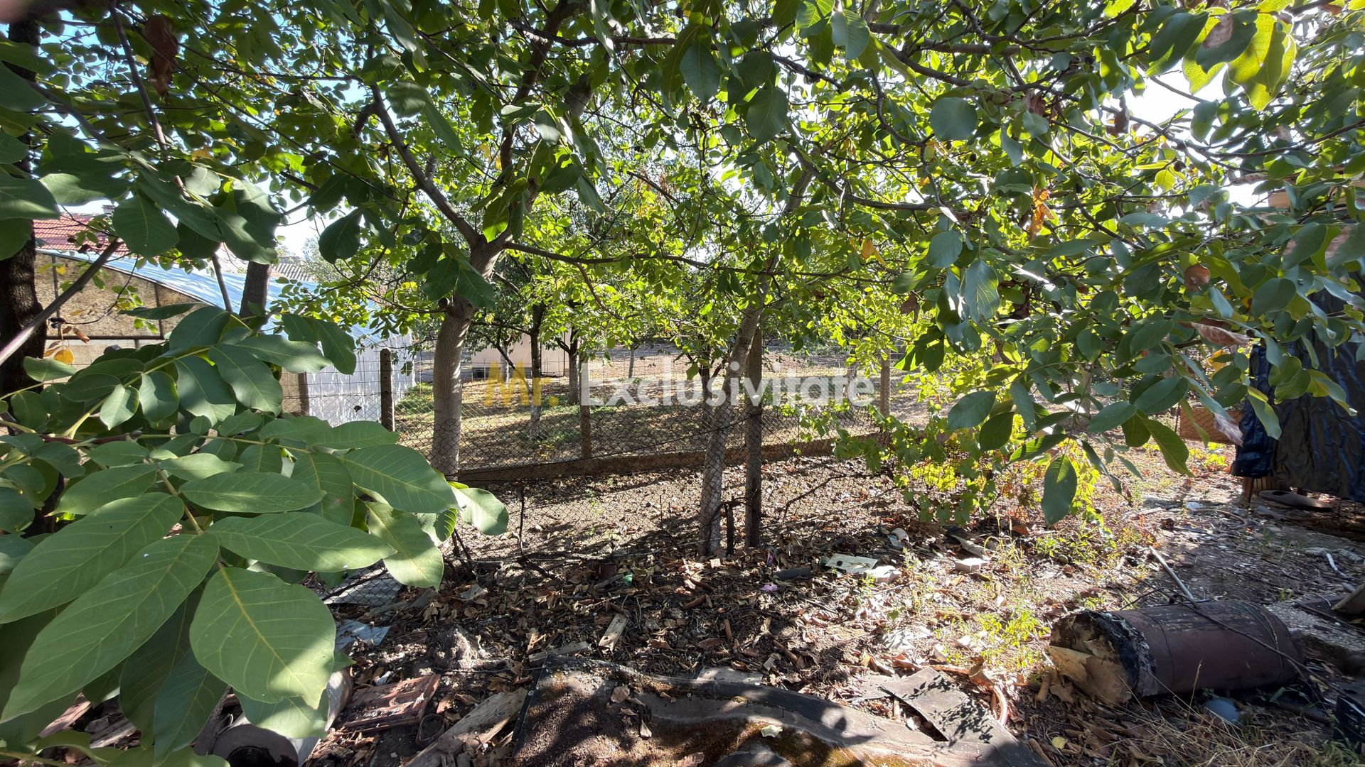 Casa 3 camere, Teren 518 mp - Str. M. Kogălniceanu - Carei - Poză 14