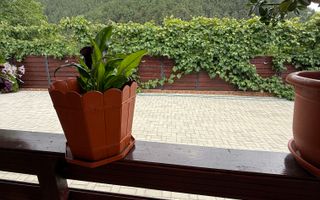 Casă de vis în Rășinari – în inima munților, cu priveliște de poveste - Poză 17