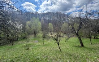 TEREN INTRAVILAN 4365 MP POENARII DE MUȘCEL  JUDEȚUL ARGES - Poză 17