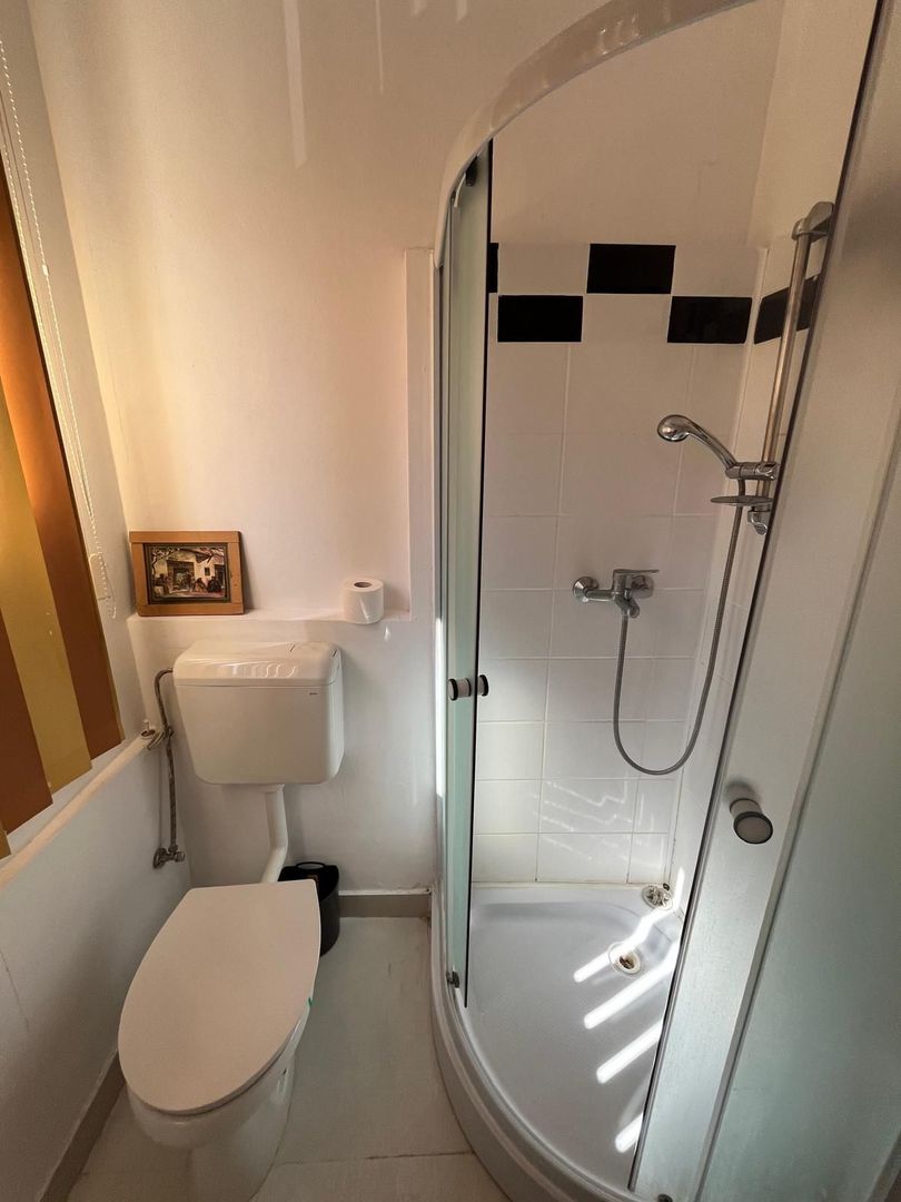 Vila cu piscina Herastrau | Panouri solare | Parcare | Rezidential sau birouri - Poză 10