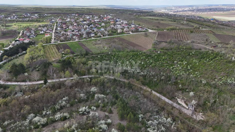 Teren de 37.5 ari în inima pădurii – Oportunitate unică de investiție lângă Crama Mileștii Mici! - Poză 3