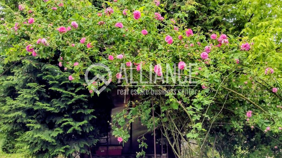 BREBU/PRAHOVA(cod04)-Casa P+1 zona mirifica - Poză 24